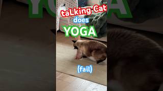 MERV THE TALKING cAT REACTS TO YOGA #bagagwa #catsofyoutube #hoco #spooky #halloween #october #short