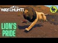 Lion's Pride, Tikamoon Plains | Way of the Hunter (PS5 4K)