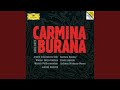 Orff: Carmina Burana / 3. Cour d'amours: 