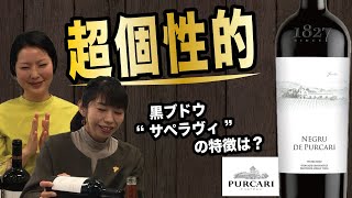 超個性的なモルドバの赤ワイン　サペラヴィさんの特徴とは？｜アグリワインチャンネル