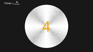 4 Second Interval Timer