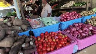 today I am going to Fish Market chicken market vegetable market in Bhatkal || Saifan Heena Vlogs