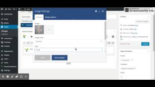 Fluke WordPress Theme - Image shortcode