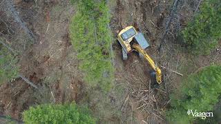 Vaagen Bros. Lumber - Fuels Reduction In Northeastern Washington