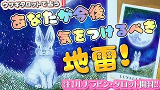 🐰【卯年の神様タロット】開封‼️🐰あなたが今後気をつけるべき地雷\u0026あなたに起こるラッキーな事🌈🐰😊　#タロットカード 　#タロットリーディング 　#カードリーディング