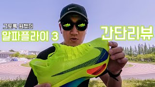 그토록 사고싶던 알파플라이3!! 간단리뷰