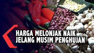 Jelang Musim Penghujan, Harga Bawang dan Cabai Merah Melonjak Naik