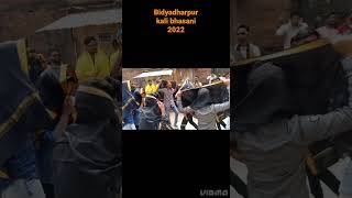 bidyadharpur kali bhasani 2022