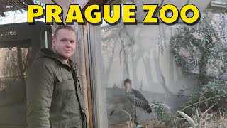 Prague Zoo | Czech Republic