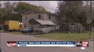 Animals videos sex in Tampa