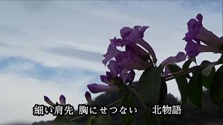 北物語    ♫オリジナル歌手:加門亮    ♪カバ-アメキリ歌詞付き