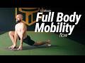 15 Minute Full Body Mobility Flow Workout | Follow Along, All Levels, No Talking