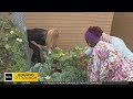 Hill District garden provides seniors with community