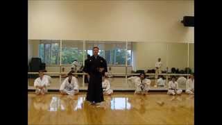 Iaido Form:  Shiho Giri