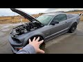 cammed procharged 3v mustang gt full build cost and walk around