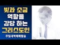 [John LeeDongHo Ministry] 빛과 소금의 역할을 감당 하는 그리스도인 | 주일새벽예배말씀 | 2024년 11월 10일