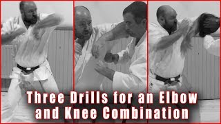 Practical Kata Bunkai: The training matrix for an elbowing and knee combination.