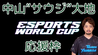 【鉄拳８】EWC2024応援ミラー配信【TEKKEN8】