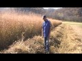 harvesting switchgrass