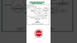 COMPANY DATABASE | ER SCHEMA DIAGRAM #erdiagram   #computerscience #bca #dbms #datamanagement #bca