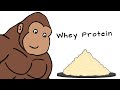 Whey Protein Explained By Ape