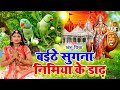 नवरात्री देवी पचरा गीत #VIDEO || बइठे सुगना अड़हुल के डढ़िया अहो मईया || Anshu Priya Devi Geet 2022