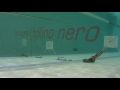 In piscina con RX Speed 90 Rx roller effetisub e Sophus 105