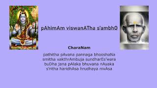 pAhimAm vis'wanAtha s'ambhO - sivaranjani - Adhi - Song #31