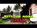 Tempat badol beli kutu air moina/makanan ikan laga.