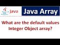Java Array ( What are the default values Integer Object array?) | Java Tutorial