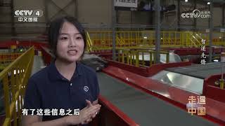 《走遍中国》 20240109 赤峰白马驰冰原/智递先锋|CCTV中文国际