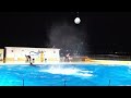 マリンワールド海の中道 夜の水族館 イルカショー