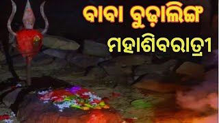 Mahashivaratri || ବାବା ବୁଢ଼ାଲିଙ୍ଗ || Jay Siva Shankar ||. #Vlogs #viralvideo