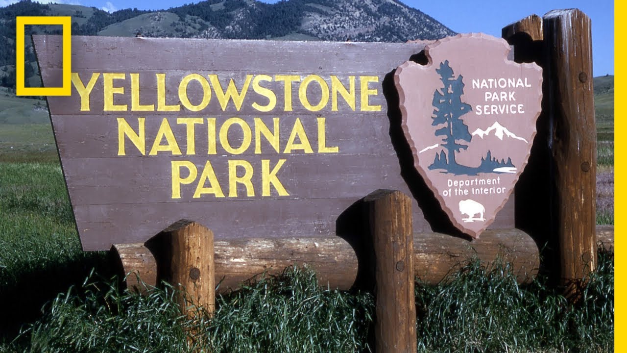 A Brief History Of Yellowstone National Park | National Geographic ...