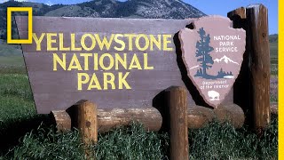 A Brief History of Yellowstone National Park | National Geographic