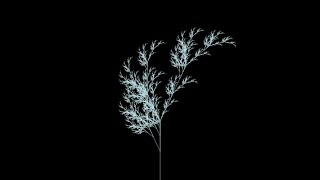 L-system tree wind