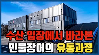 국내산 양식 민물장어 유통과정, 양만장에서 소비자에게 전달되기까지의 험난한 과정