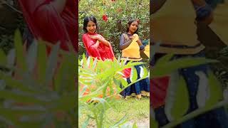 Maa intha langamma song |manike mage hithe | ma hit song |new dance version |dance | anakha akku |