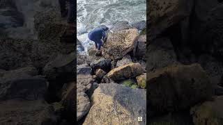 Heavy hamoor  #fishingfood #trending  #viralvideo #beach #hamour #love #fishing#keralagodsowncountry