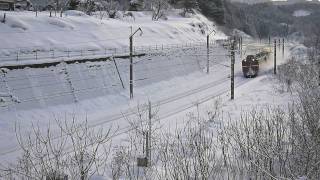 2012/2/13　奥羽本線　寝台特急日本海　EF81-106号機