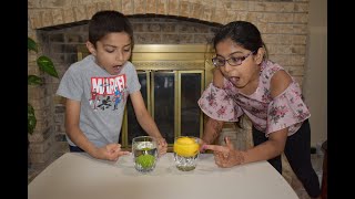 Floating Lime and Lemon | Floating Lemon and Sinking Lime | Kids Science | DIY Easy Science | STEM