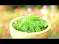 increÍble producción de aloe vera 🍃 cultivo y proceso en fábrica