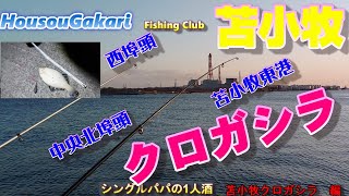 【北海道】　苫小牧　太平洋　クロガシラ　勝負　シングルパパの１人酒　苫小牧クロガシラ編