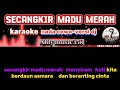 SECANGKIR MADU MERAH | KARAOKE NADA CEWE | VERSI DJ ALDY MUSIC358 | LAGU TRENDING SAAT INI