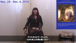 2016年11月28日（月）～ 12月４日（日）のウィークリー・オラクルカード・リーディン グ