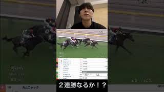 【競馬】アルテミスS 本命は１番人気以外から勝負！！！G１資金稼ぎ２連勝なるか！　　　　　　　　　　　　　　　　　　　　　　#競馬 ＃アルテミスS ＃ウマ狂 #ブラウンラチェット ＃ショウナンザナドゥ