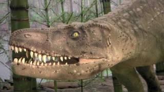 Postosuchus vs. Batrachotomus (Anmerkungen an)