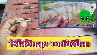 ยิงปลาแรดยังพอได้ แนะนำการเลือกลูกดอกยิงปลาท้ายคลิป