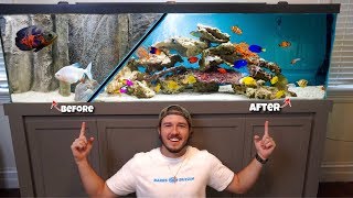 TRANSFORMING AQUARIUM Into a TROPICAL FISH PARADISE!