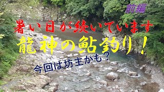 龍神の鮎釣り！（前編） 8月上旬　鮎は土用隠れです。坊主かも！